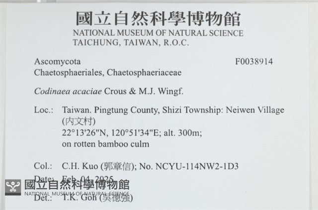 登錄號:F0038914藏品圖，第2張