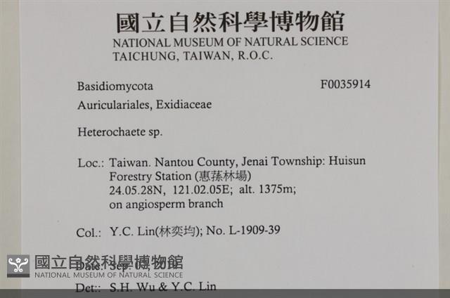 刺皮菌屬藏品圖，第2張