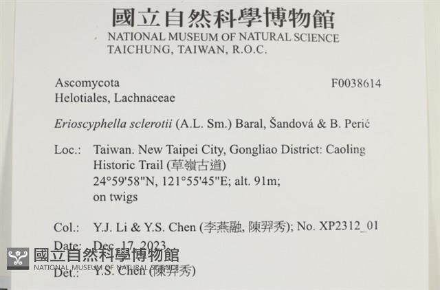 登錄號:F0038614藏品圖，第2張