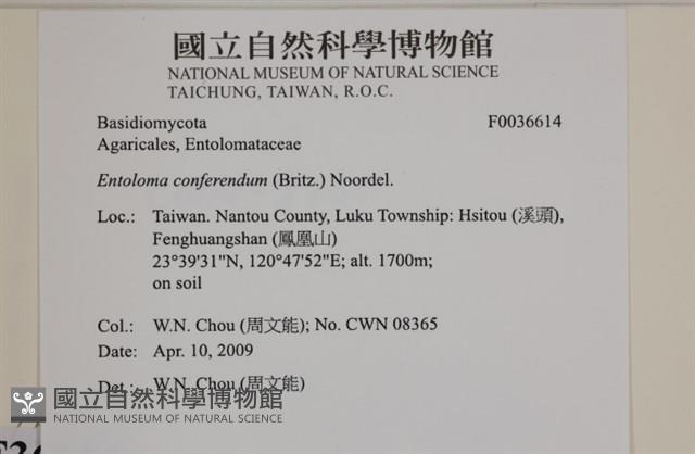 登錄號:F0036614藏品圖，第2張