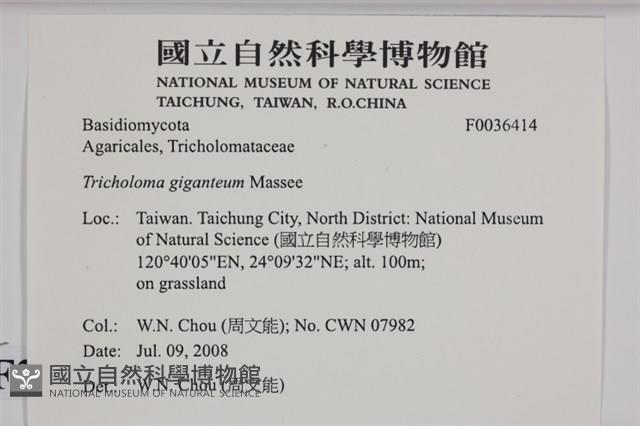 登錄號:F0036414藏品圖，第2張