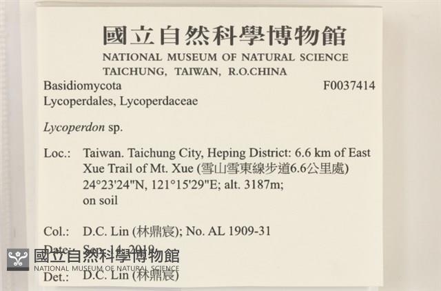 登錄號:F0037414藏品圖，第2張