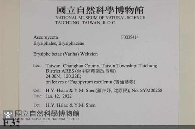 登錄號:F0035414藏品圖，第2張