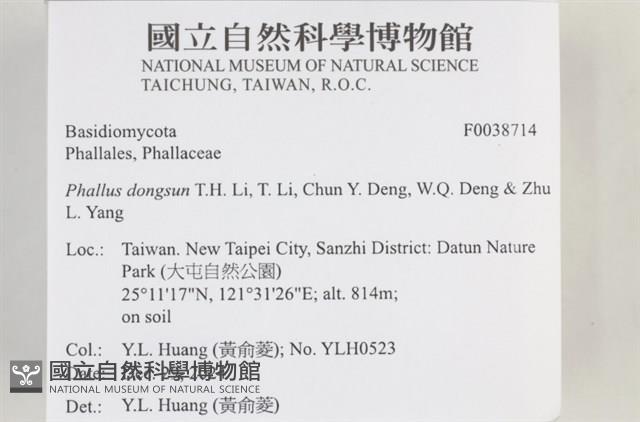 登錄號:F0038714藏品圖，第2張