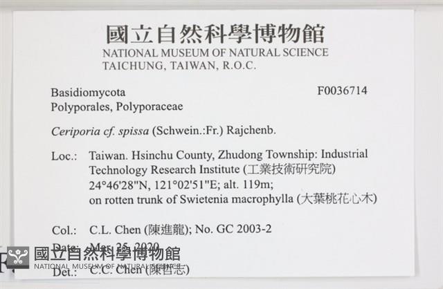 登錄號:F0036714藏品圖，第2張