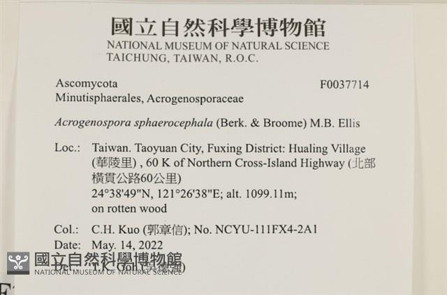 登錄號:F0037714藏品圖，第2張