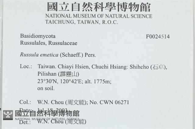 登錄號:F0024514藏品圖，第4張