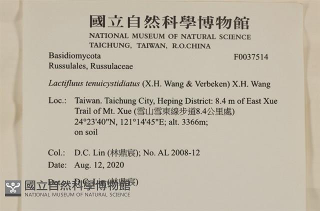 登錄號:F0037514藏品圖，第2張