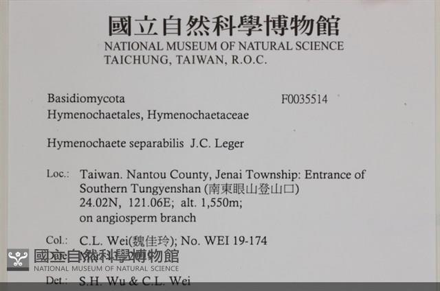 登錄號:F0035514藏品圖，第2張