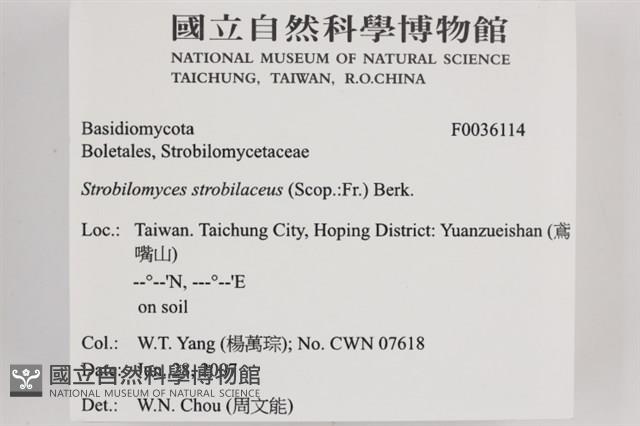 登錄號:F0036114藏品圖，第2張