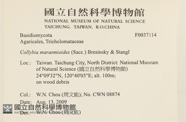 登錄號:F0037114藏品圖，第2張