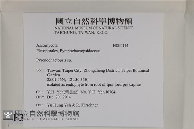 登錄號:F0035114藏品圖，第2張