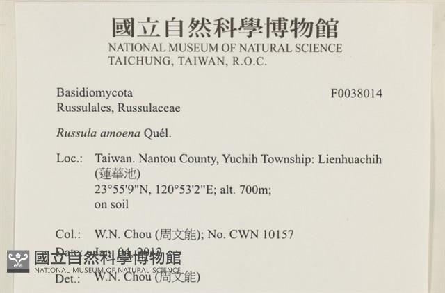 登錄號:F0038014藏品圖，第2張
