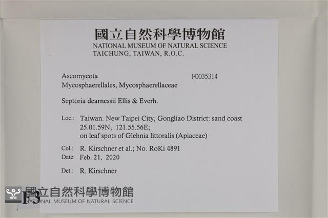 登錄號:F0035314藏品圖，第2張