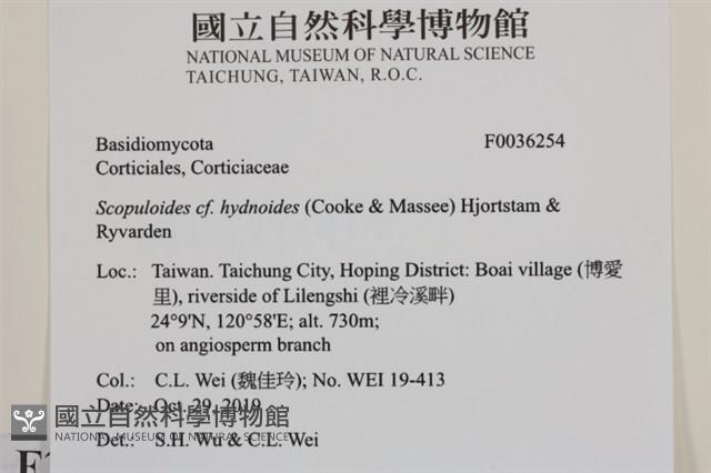 登錄號:F0036254藏品圖，第2張