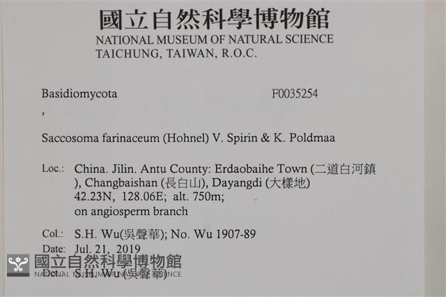 登錄號:F0035254藏品圖，第2張