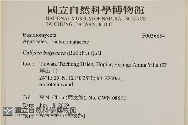 登錄號:F0036854藏品圖，第2張