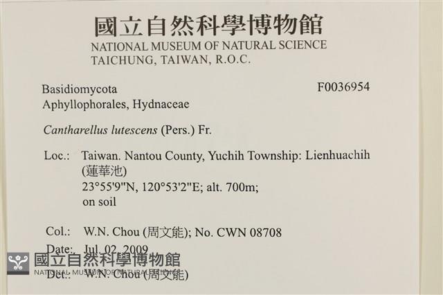 登錄號:F0036954藏品圖，第2張