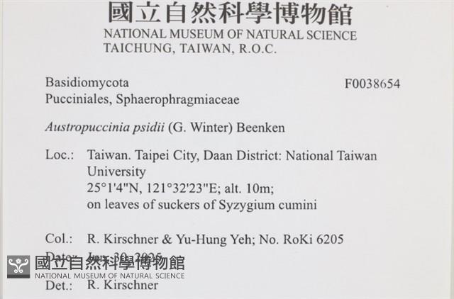 登錄號:F0038654藏品圖，第2張