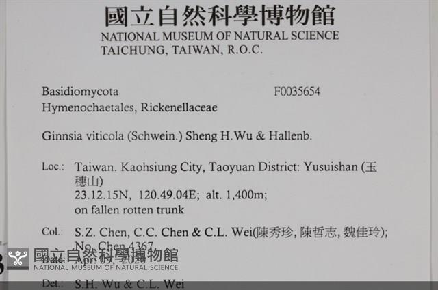 登錄號:F0035654藏品圖，第2張