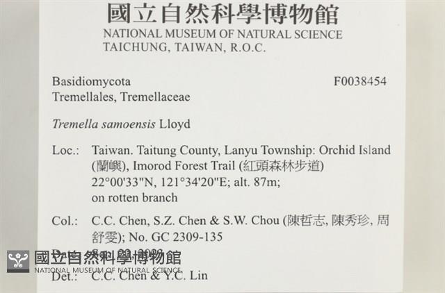 登錄號:F0038454藏品圖，第2張