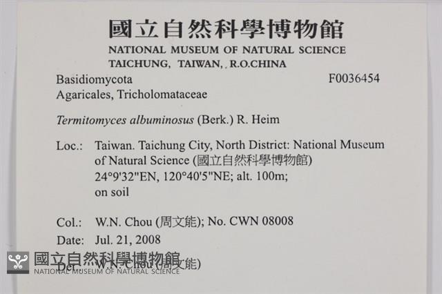登錄號:F0036454藏品圖，第2張