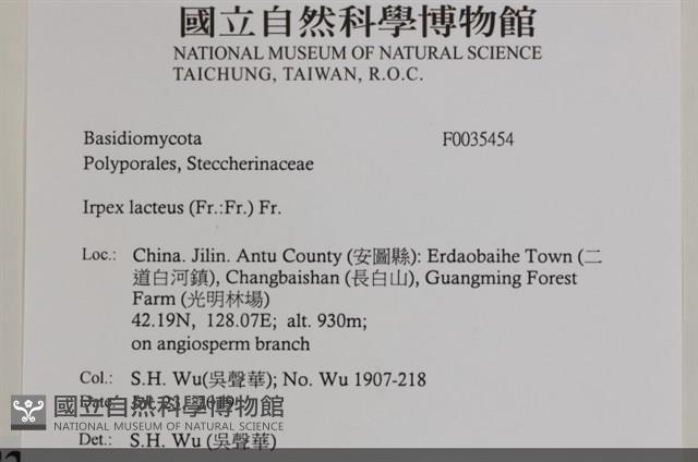 登錄號:F0035454藏品圖，第2張