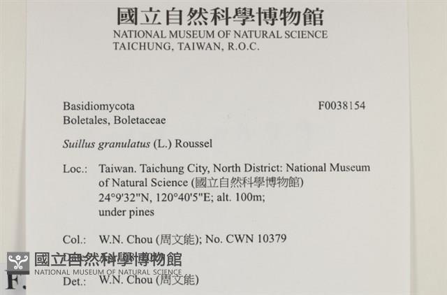 登錄號:F0038154藏品圖，第2張