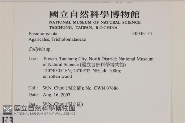 登錄號:F0036154藏品圖，第2張