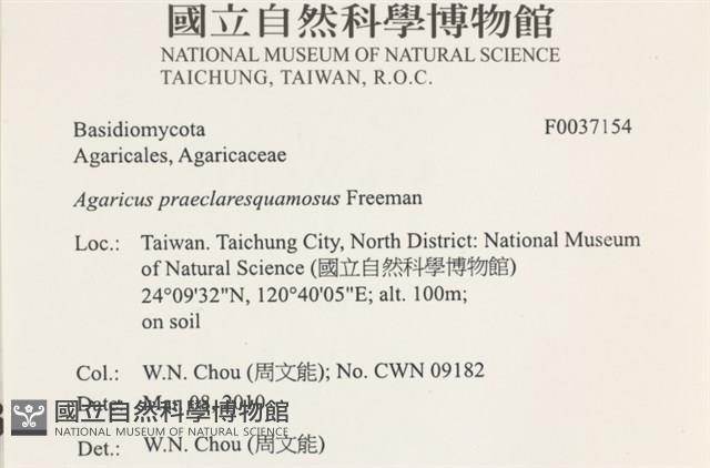 登錄號:F0037154藏品圖，第2張