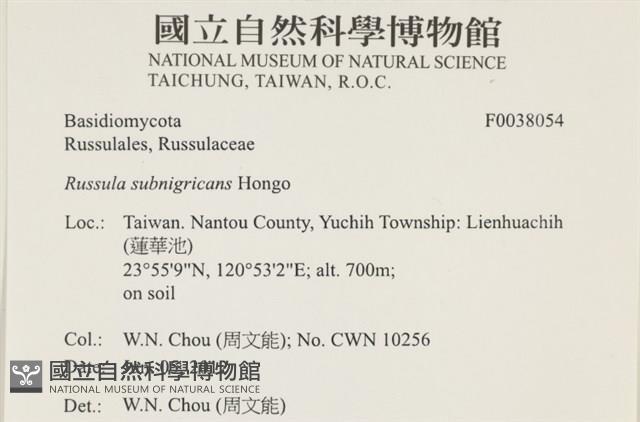 登錄號:F0038054藏品圖，第2張