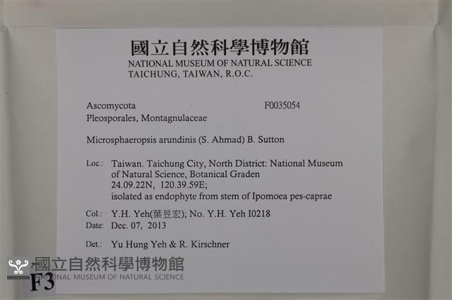 登錄號:F0035054藏品圖，第2張