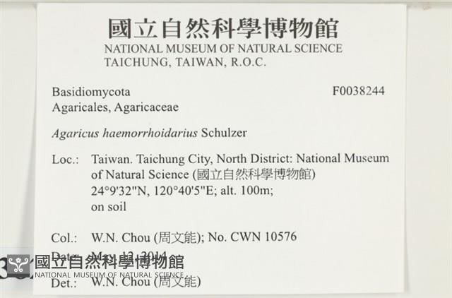 登錄號:F0038244藏品圖，第2張