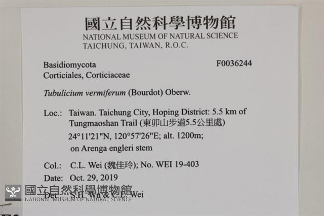登錄號:F0036244藏品圖，第2張