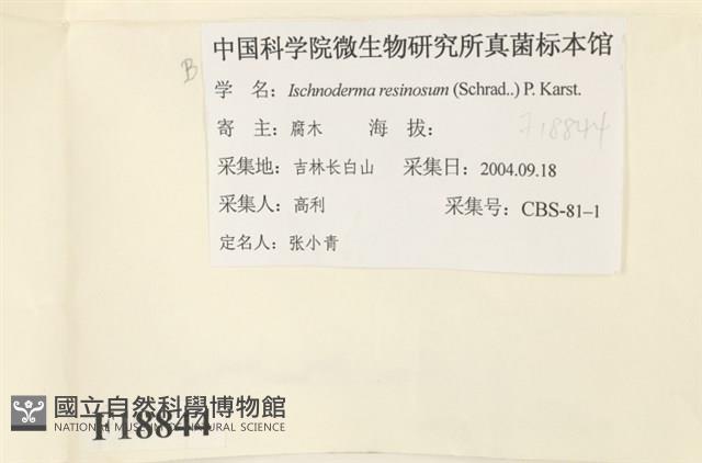 登錄號:F0018844藏品圖，第2張
