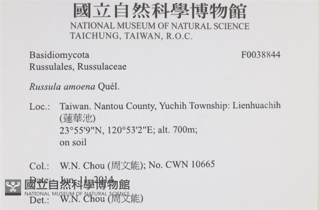 登錄號:F0038844藏品圖，第2張