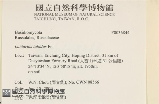 登錄號:F0036844藏品圖，第2張