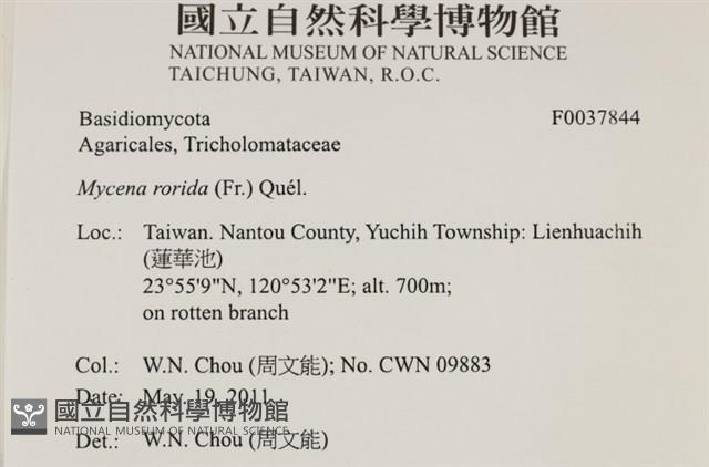 登錄號:F0037844藏品圖，第2張