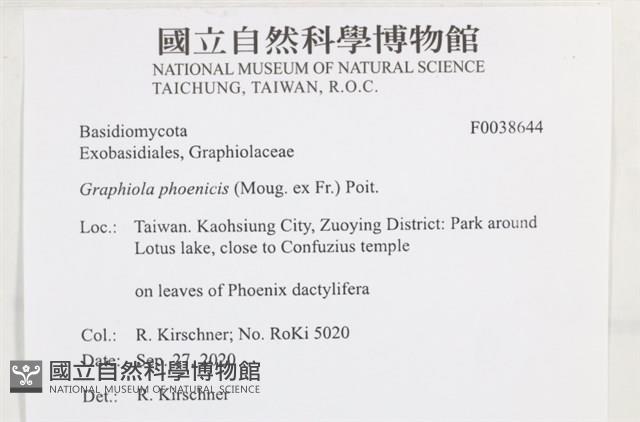 登錄號:F0038644藏品圖，第2張