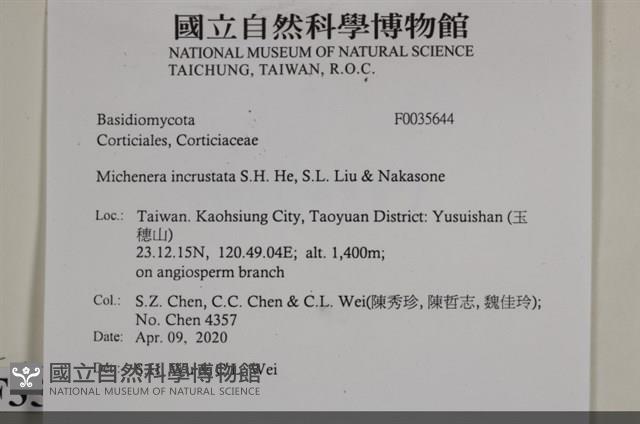 登錄號:F0035644藏品圖，第2張