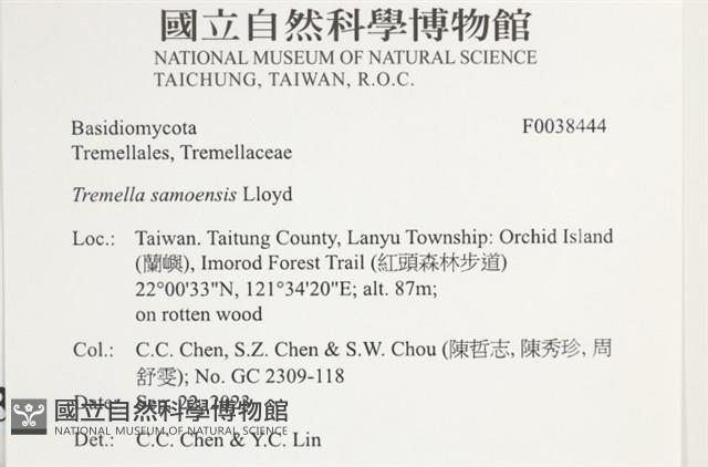 登錄號:F0038444藏品圖，第2張