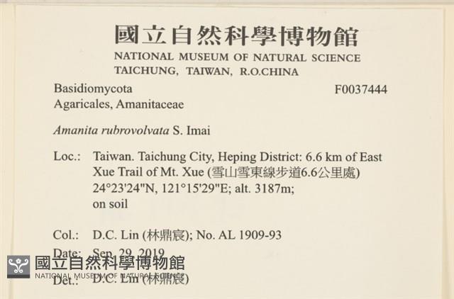 登錄號:F0037444藏品圖，第2張