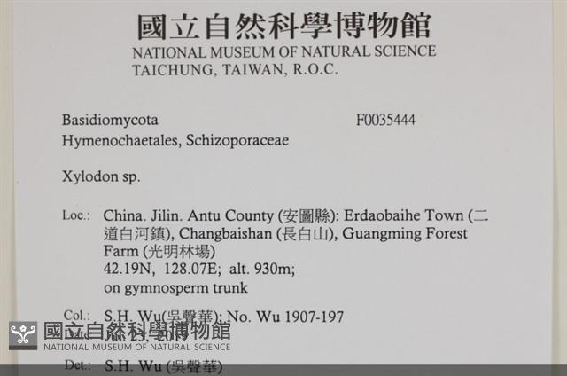 登錄號:F0035444藏品圖，第2張