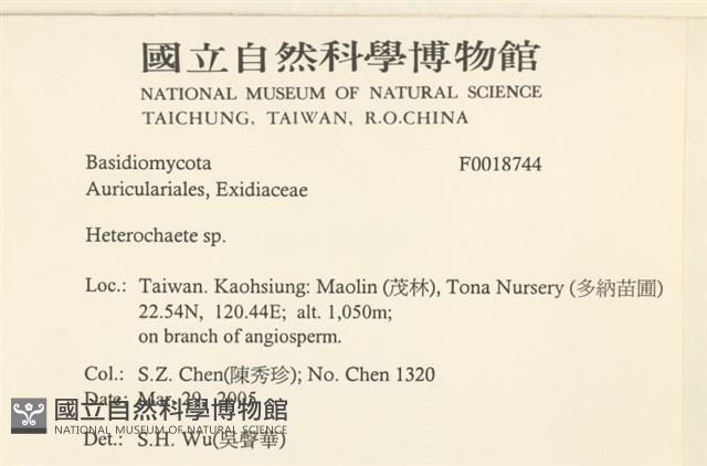 刺皮菌屬藏品圖，第2張