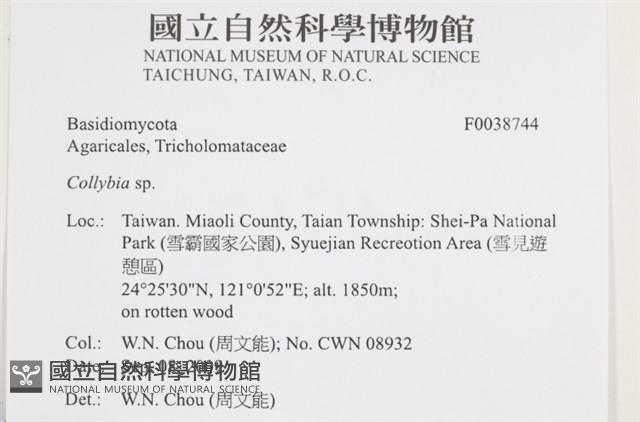 登錄號:F0038744藏品圖，第2張