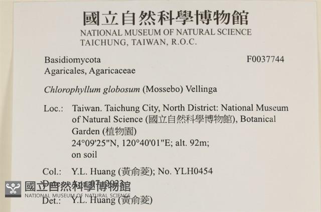 登錄號:F0037744藏品圖，第2張