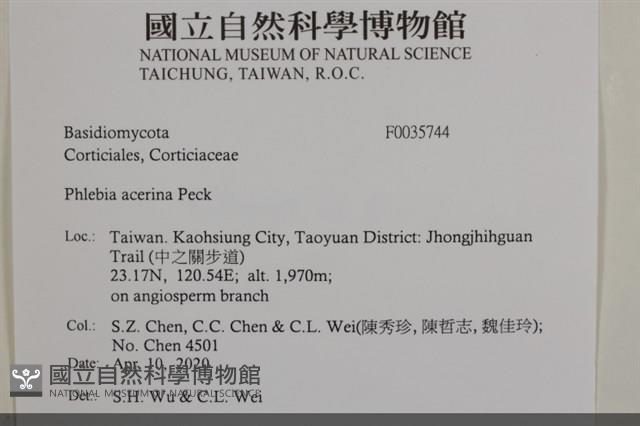 登錄號:F0035744藏品圖，第2張