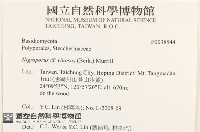 登錄號:F0038544藏品圖，第2張