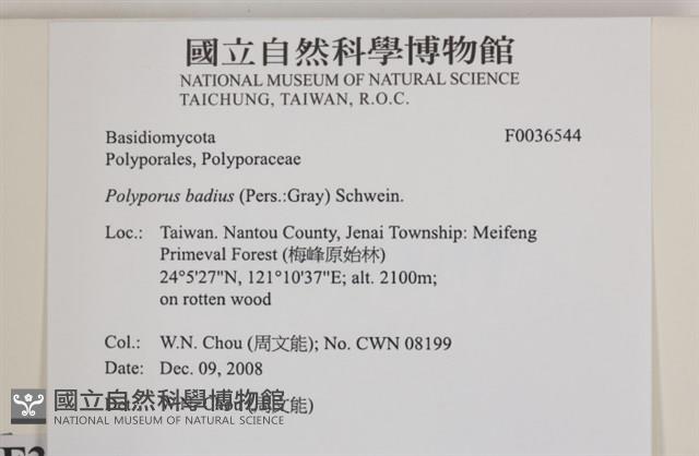 登錄號:F0036544藏品圖，第2張