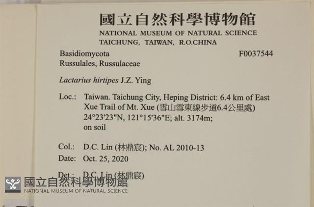 登錄號:F0037544藏品圖，第2張